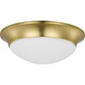 Progress Lighting Two-Light 14" Etched Glass Flush Mount P350147-012